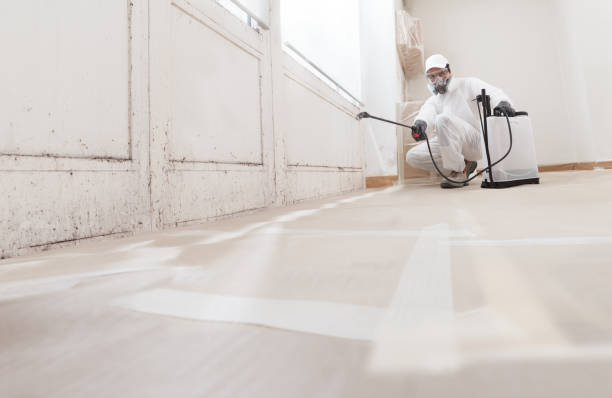 24/7 Emergency Commercial Mold Remediation experts in Bellvue, CO